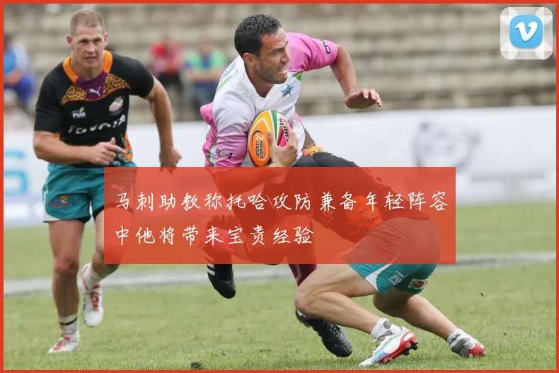 马刺助教称托哈攻防兼备年轻阵容中他将带来宝贵经验