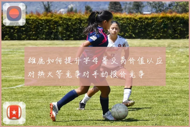 雄鹿如何提升字母哥交易价值以应对热火等竞争对手的报价竞争