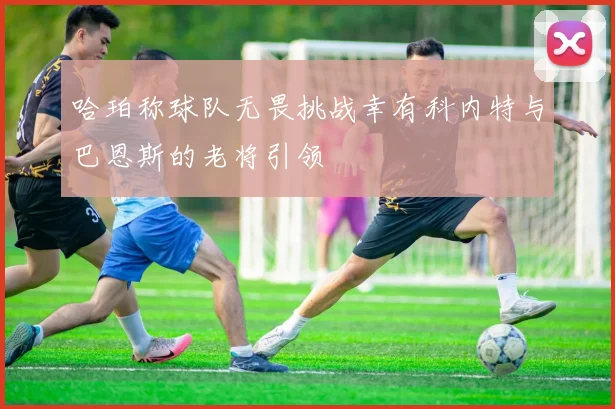 哈珀称球队无畏挑战幸有科内特与巴恩斯的老将引领